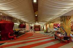 DELPHIN IMPERIAL Activities